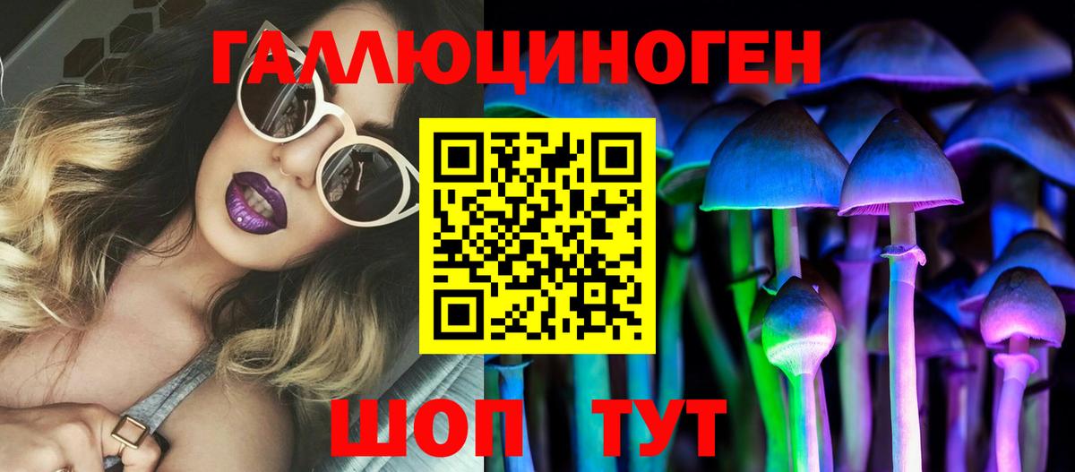 Медногорск  Псилоцибиновые грибы MAGIC MUSHROOMS  Вход с VPN  Псилоцибиновые грибы MAGIC MUSHROOMS 