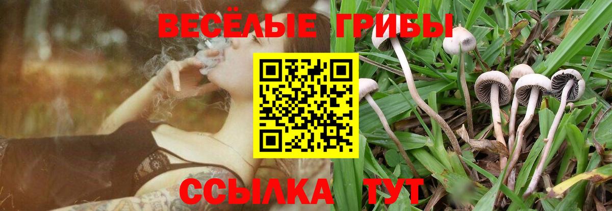 Псилоцибиновые грибы прущие грибы Медногорск